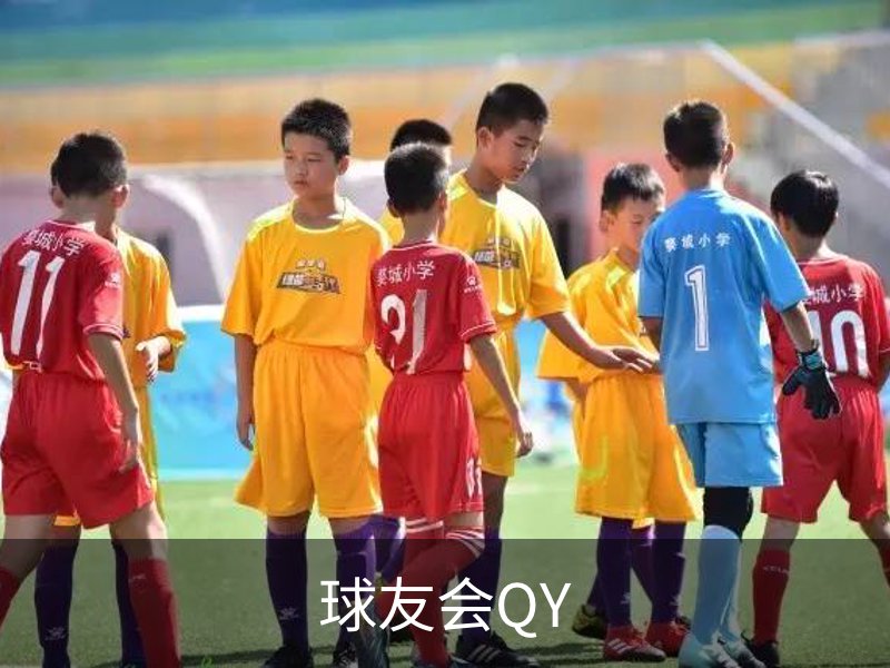球友会QY概况